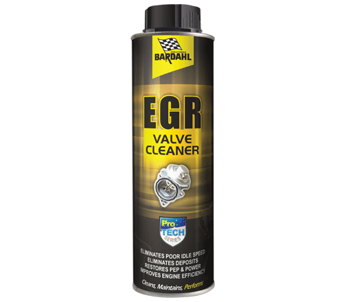 EGR Valve Cleaner