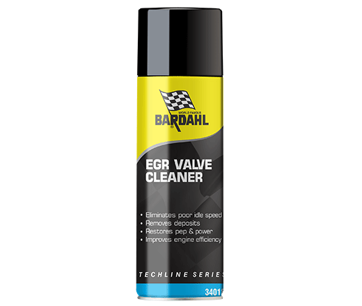 EGR Valve cleaner